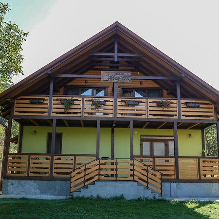 Villa Med'Ok Vyzhnytsya Εξωτερικό φωτογραφία